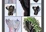 create custom 3d models for home decor products